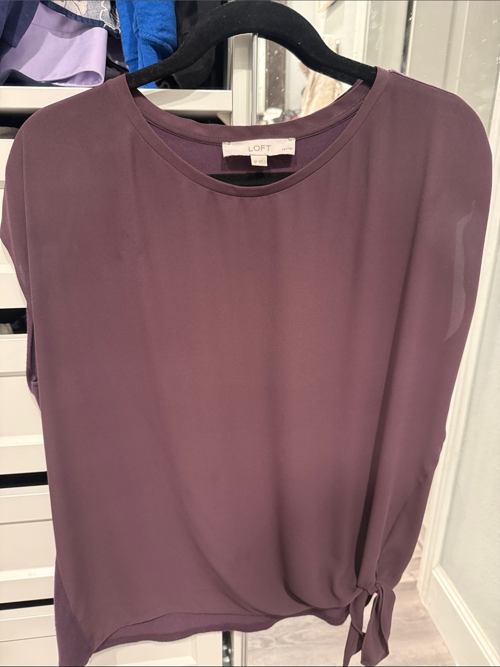 LOFT Women's Dark Purple Short Sleeve Top